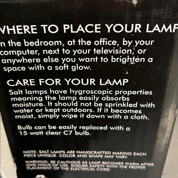 Evolution Salt Lamp‎ - Picture 3 of 3